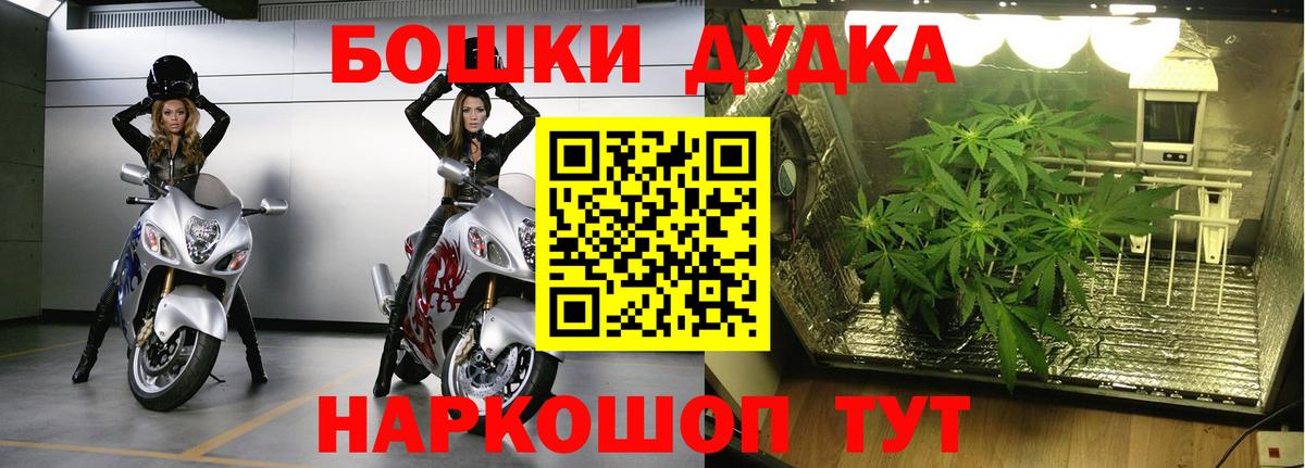 Канабис конопля Кубинка